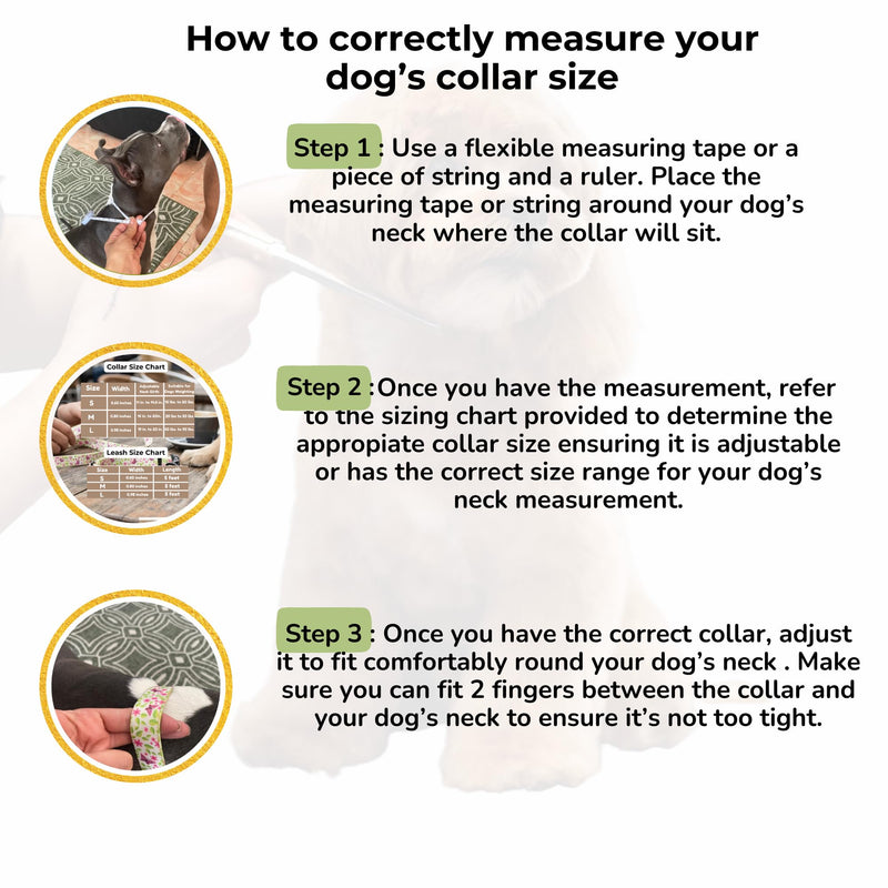 BOLDPET® Dog Collar and Leash Set - Durable Adjustable Puppy Collar with Secure Metal Buckle and 5 ft Length - Professional Grade Polyester for Small Medium and Large Dogs - PawsPlanet Australia