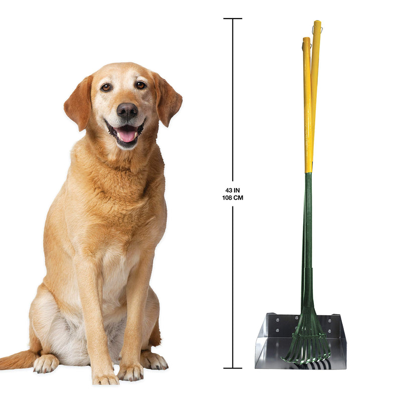 Four Paws Stainless Steel Long-Handled Dog Pooper Scooper Rake & Pan 2 Piece Set, Pet Waste Pickup Tool, 38" x 10" Rake & Pan Set Large, 9.5" x 10" x 38" - PawsPlanet Australia