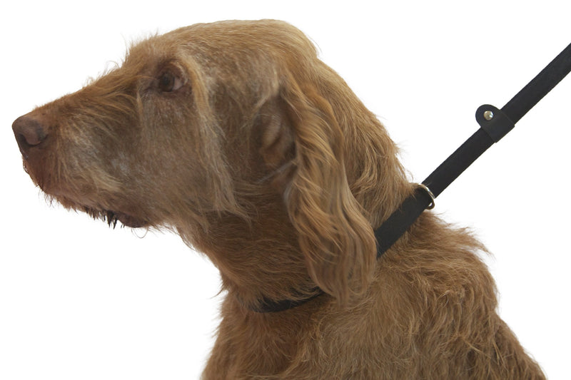 UniWalker Figure of 8 Training Lead for dogs that pull. With collar strap included. 3 leads in 1. Black
