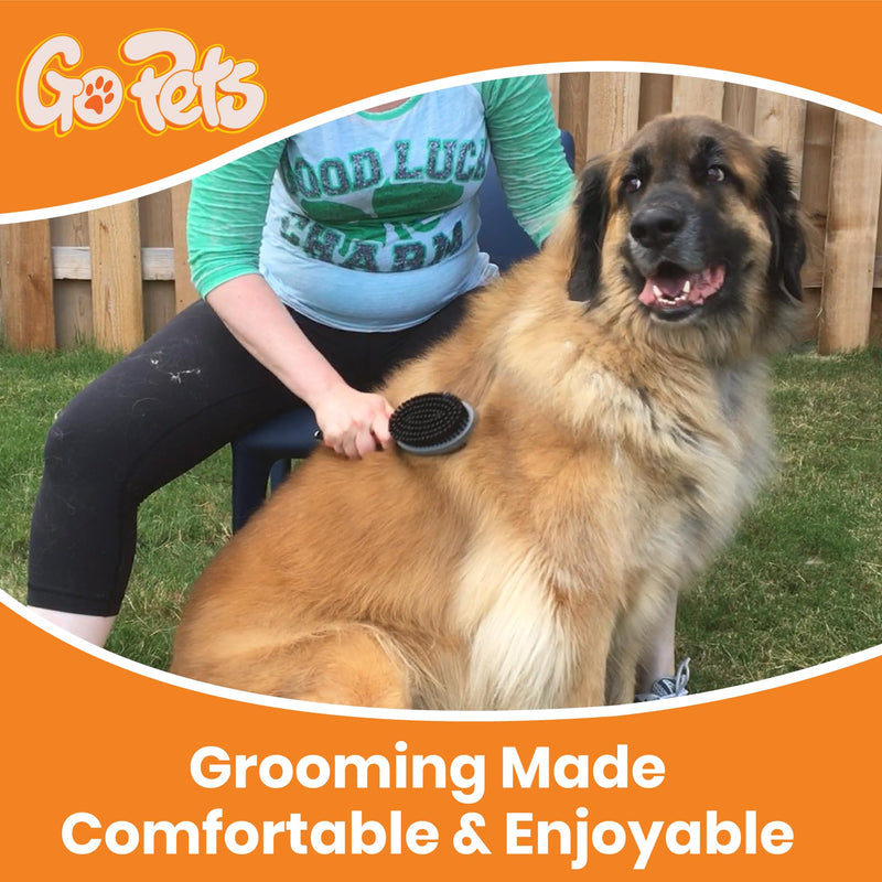 GoPets Pet Grooming Kit Bundle With 2 Sided Dematting Comb and Deshedding Rake + Double Sided Pin Brush and Bristle Brush for Dogs and Cats - PawsPlanet Australia