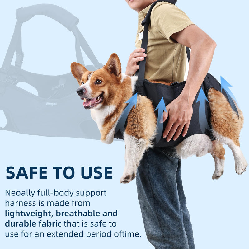 Dog Lift Harness, Emergency Backpack Pet Legs Support & Rehabilitation Sling Carrier, Adjustable Lifting Straps Carrier for Senior Elderly Dogs Joint Injuries Arthritis M - PawsPlanet Australia