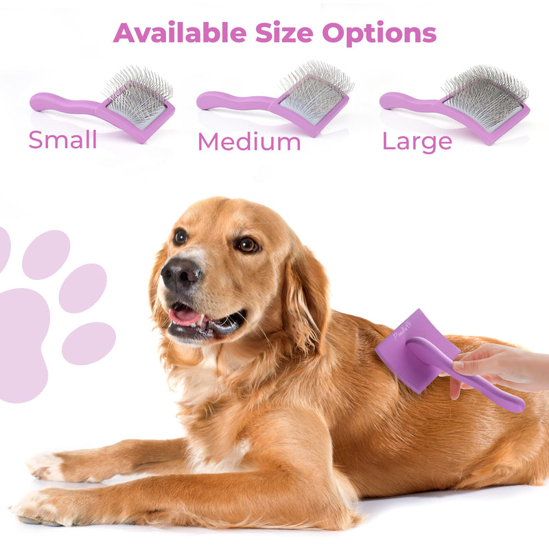 POODLIE Slicker Brush for Dogs - Detangling Dog Brushes for Grooming with Soft Bristles & Long Pins - Professional Cat Deshedding Tool to Removes Tangles & Dirt (Large) Square Large Slicker Brush Purple - PawsPlanet Australia