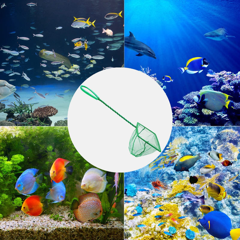 4 Pack Aquarium Fish Net, Multi-Size Fine Quick Fish Catch Nets Nylon Fishing Mesh Nets with Long Plastic Handle for Fish Tank - Green (3in, 4in, 5in, 6in) - PawsPlanet Australia