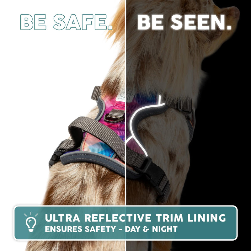 Embark Adventure No Pull Dog Harness, Reflective Trim No Pull Harness for Medium Sized Dog - Military Grade Nylon, Front Clip with Gel Lined Handle. Soft & Padded Puppy M Aurora - PawsPlanet Australia