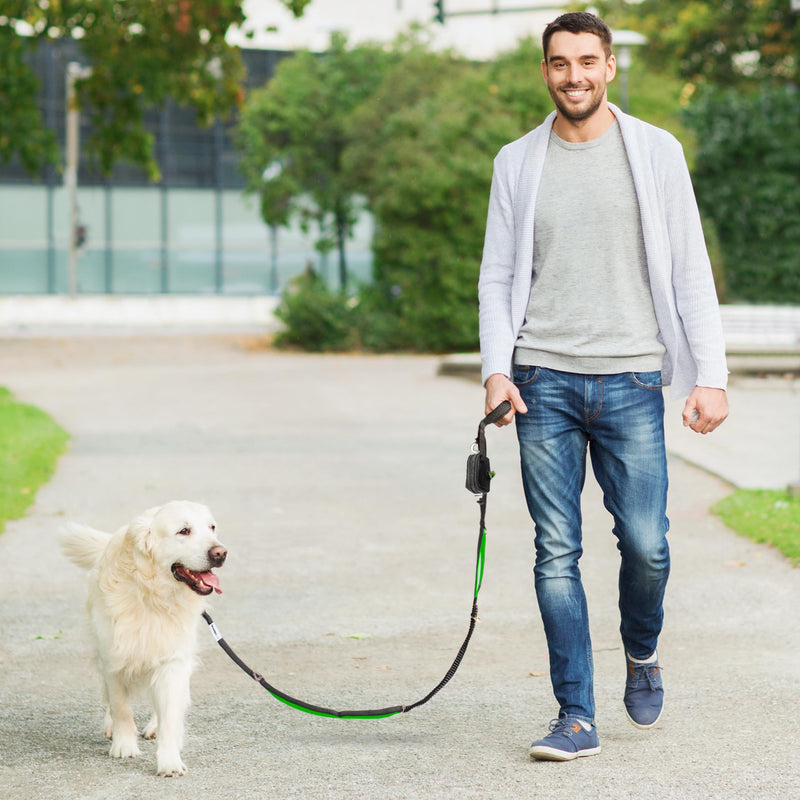 Anti Pull Dog Leash - Heavy Duty, 6ft, Sturdy Bungee, 4 Padded Handles, Strong Carabiner Clips and Rings, Highly Reflective, Poop Bag Holder + Treat Pouch, Large Breeds by Leashrr 2.0 (Royal Blue) Royal Blue - PawsPlanet Australia