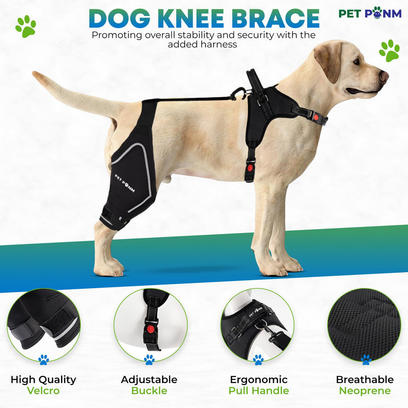 Petpanm- Adjustable Dog Knee Brace- Right Hind Leg with Integreted Harness- Premium Support for Torn ACL, Sprains & Strains Recovery, Enhances Mobility, Comfortable Neoprene - (XLarge). Right leg XLarge