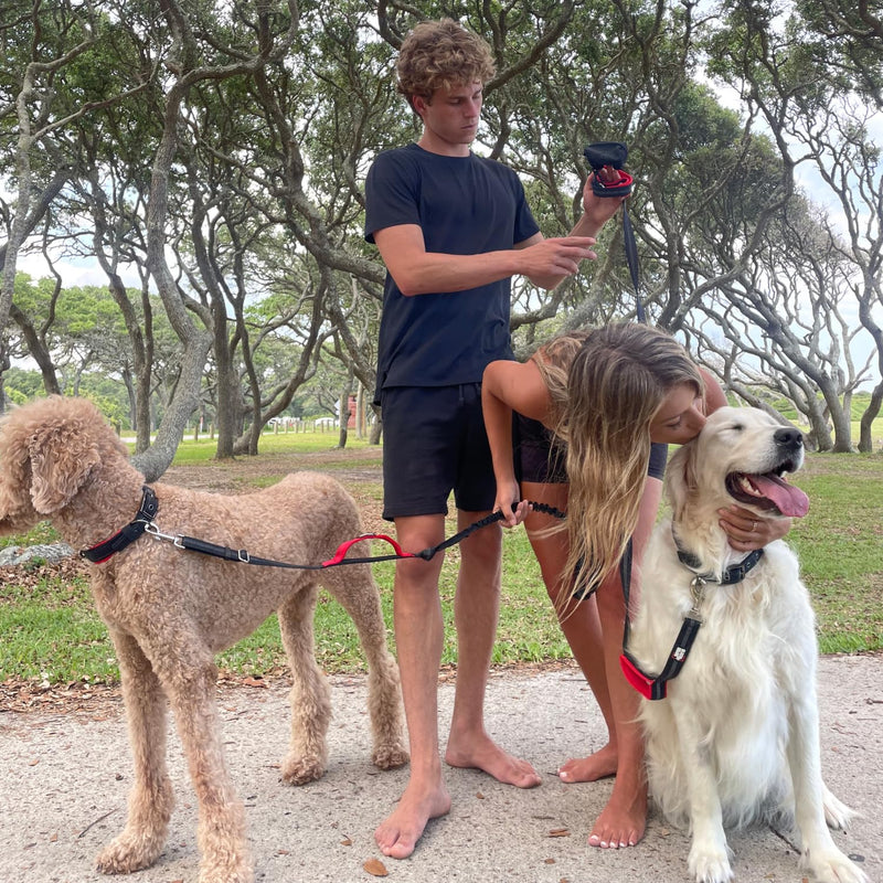 Black Rhino Heavy Duty Dog Leash for Medium and Large Dogs - 6 ft Long Double Handle Leash with Padded Traffic Control Handles and Bag - Reflective, Durable, and Weather Resistant (Burgundy) Burgundy - PawsPlanet Australia