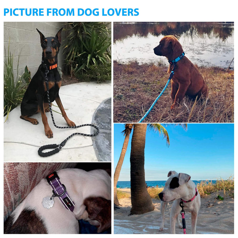Heavy Duty Dog Leash - Comfortable Padded Handle, 5 ft Long - Dog Leashes for Small Medium Large Dogs (Leash+Collar M Neck 16"-20", Blue) Medium (Pack of 1) Blue Leash+Collar - PawsPlanet Australia