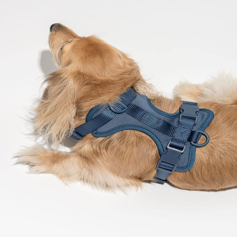 Wild One Harness 2.0 - Extra Small - Navy - PawsPlanet Australia