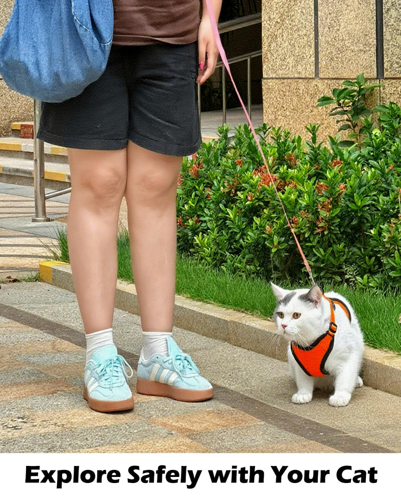 Luxelle 2 Pack Escape-Proof Cat Harness and Leash Set for Walking – Adjustable No Pull Soft Vest with Easy-Wear Buckle, Reflective Straps, Breathable Mesh – Outdoor Travel Harness for Cats & Kittens Orange Red XS - PawsPlanet Australia