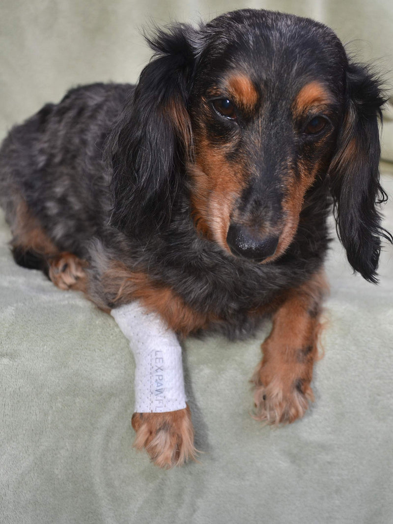 Protective Sleeve Tubular Cover - Bandages - for Dogs Cats and Other Pets First Aid Wound Care Comfortable Non-Adhesive Breathable & Water Resistant 12 Strips (yields 24-36 Covers)-(X-Large)