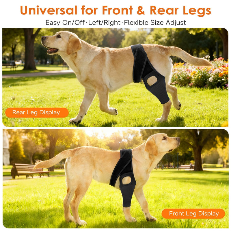 Jorme Dog Knee Brace for Torn ACL Hind Leg, Breathable Neoprene Dog Leg Brace with Adjustable Velcro & Belly Band, Ideal for Arthritis, Luxating Patella & Post-Surgery Recovery (XS) XS