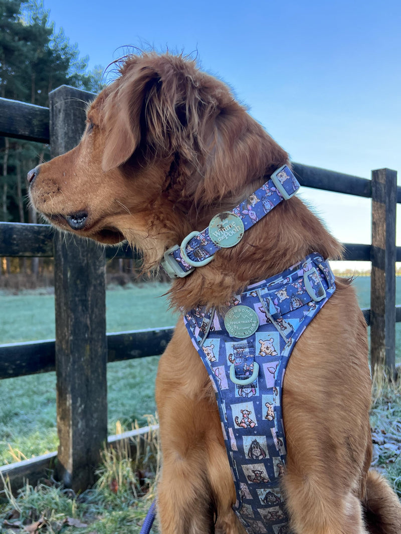 Pawsome Paws Boutique Winnie + Friends Small Adjustable Disney Collar with Soft Lining and Secure D-Ring - PawsPlanet Australia
