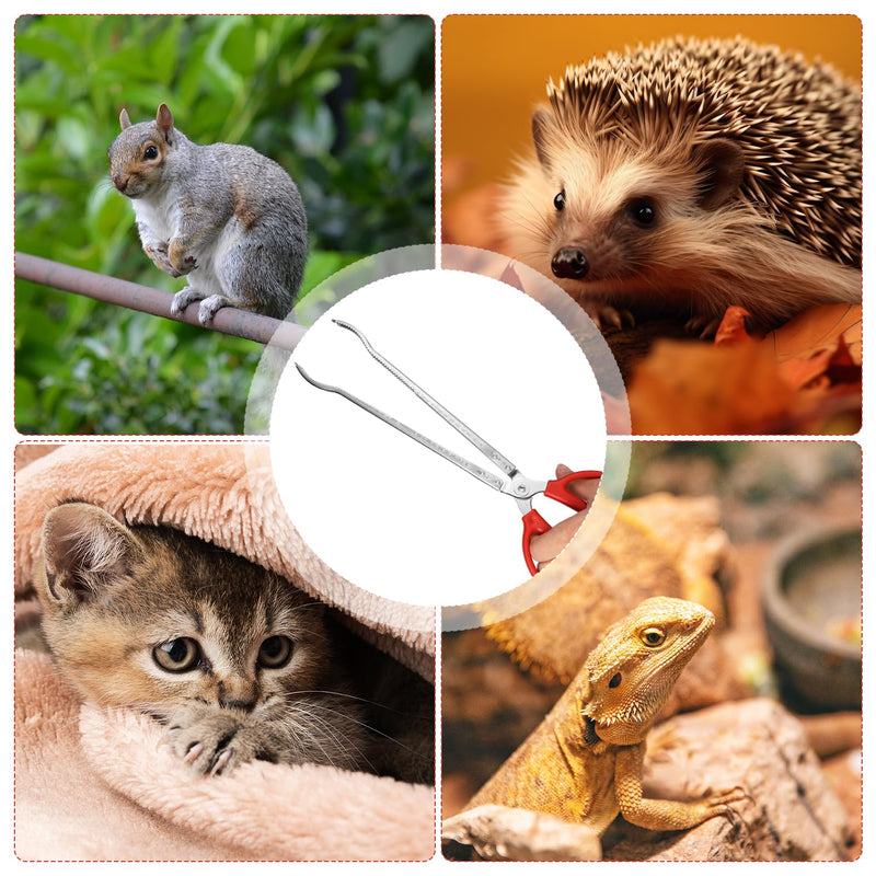 Reptile Feeding Tongs, 15 Inch Snake Feeding Tongs Anti-Skid Easy-Grip Extra Long Tweezers for Terrarium Corn Ball Python Accessories Axolotl Bearded Dragon Feeding Supplies - PawsPlanet Australia