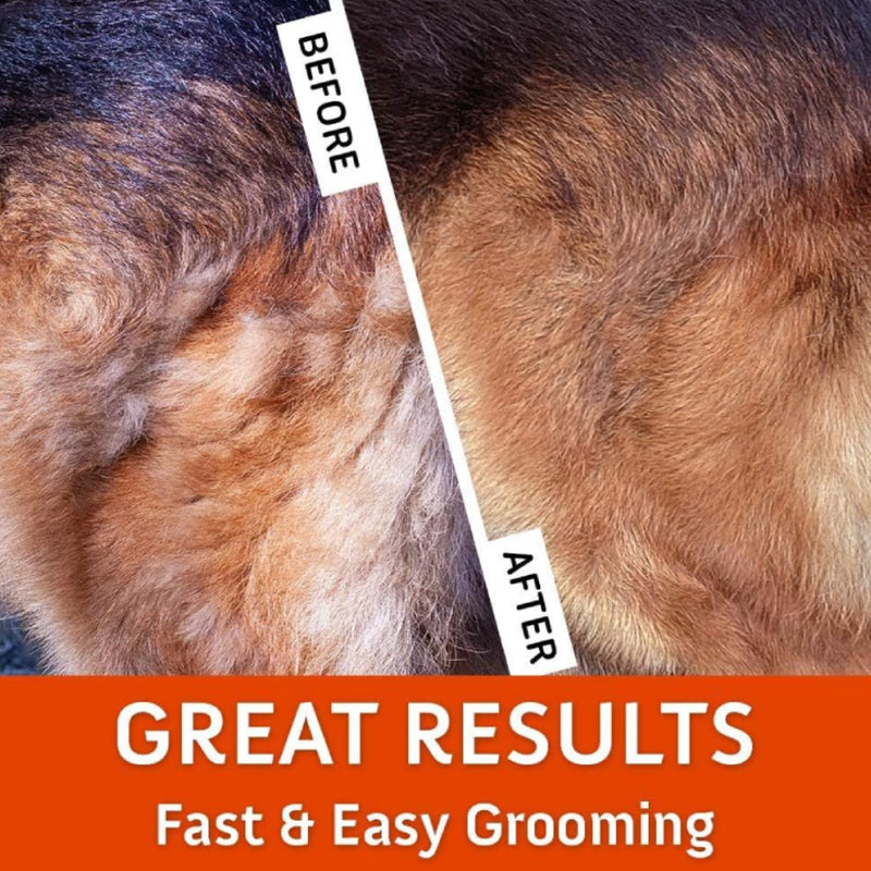 Premium 3-in-1 Dog Brush & Cat Brush (Double-Sided) - Effective Dematting Comb & Undercoat Brush Against Tangles - Safe Fur Changing Aid with Wooden Handle for Dogs & Cats - PawsPlanet Australia