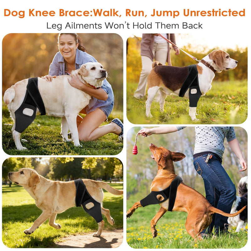 Jorme Dog Knee Brace for Torn ACL Hind Leg, Breathable Neoprene Dog Leg Brace with Adjustable Velcro & Belly Band, Ideal for Arthritis, Luxating Patella & Post-Surgery Recovery (XS) XS