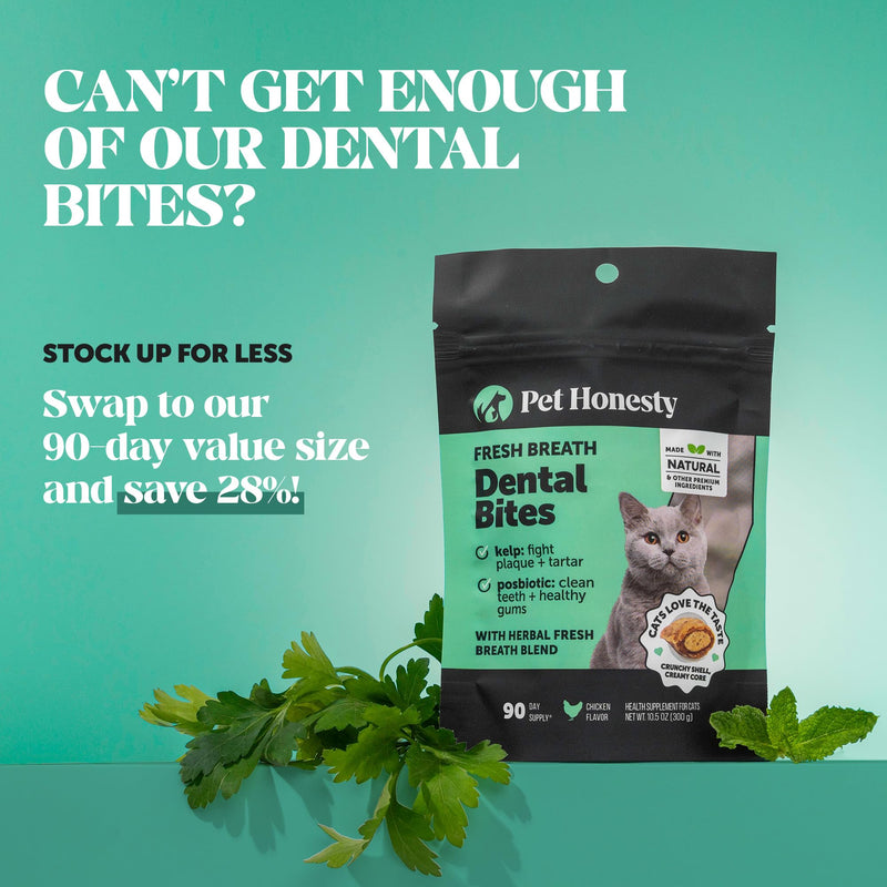 Fresh Breath Dental Bites for Cats – Crunchy & Creamy Cat Dental Treats for Fresh Breath, Tartar & Plaque Control – Dual-Texture Cat Oral Care Bites for Bright Teeth & Healthy Gums – 90 Day Supply - PawsPlanet Australia