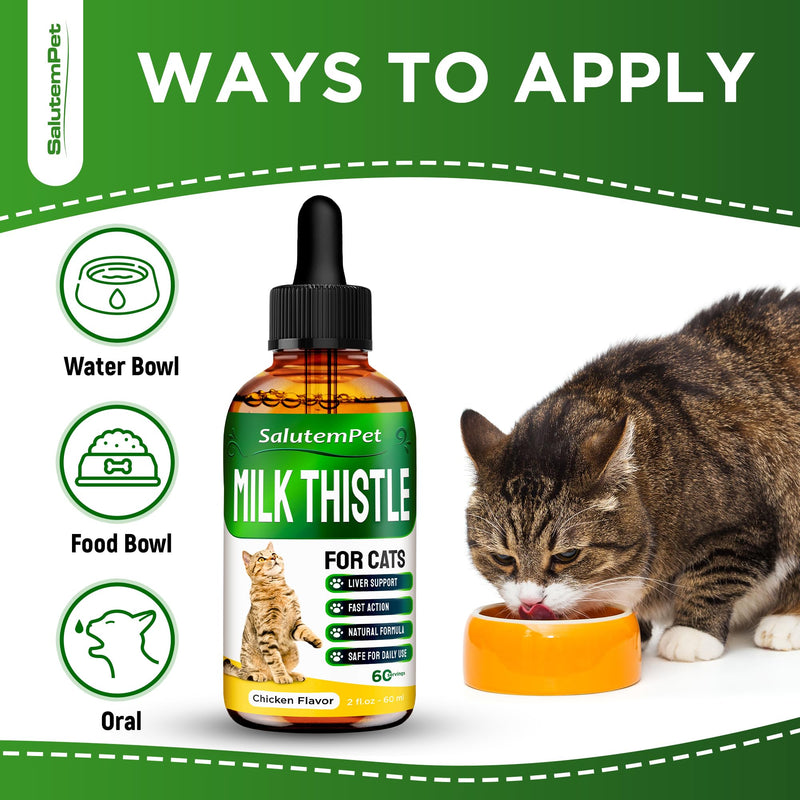 Milk Thistle for Cats | Cat UTI | Liver Support for Cats | Cat Milk Thistle | Feline UTI | Cat Cough | Milk Thistle Cats | Cat Urinary Tract | 2 Oz - PawsPlanet Australia