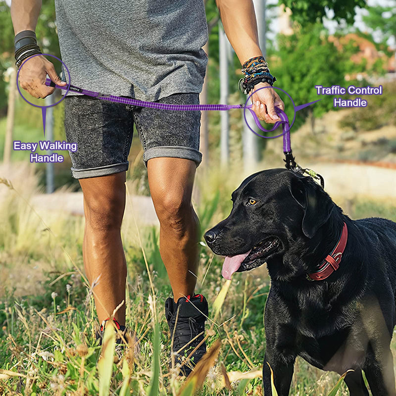 Raipult Shock Absorbing Tactical Dog Leash, 4-6FT Heavy Duty Bungee Leash, Anti-Pull Elastic Training Lead with Car Seatbelt & 2 Handles for Medium Large Dogs,Purple Modern Violet Aviation aluminum - PawsPlanet Australia