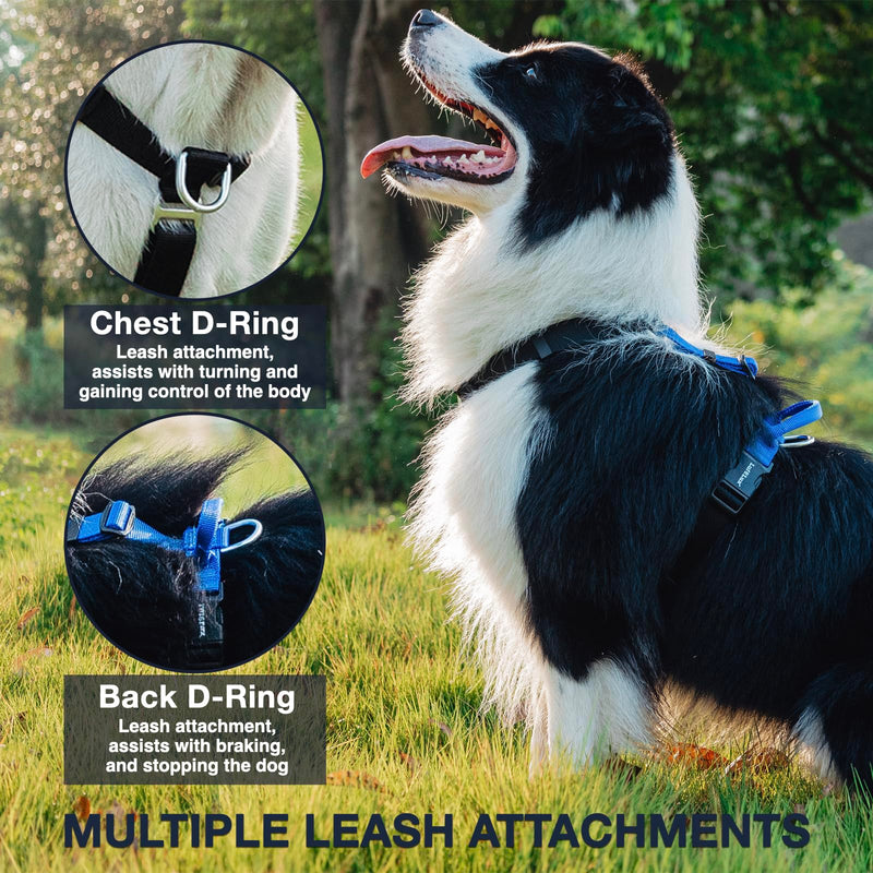 No Pull Dog Harness, Non-Restrictive Harness with Neck Buckle, Nylon Straps, Aluminum D-Rings, 6 Points Adjustment for Ultimate Fit, Easy Walking and Training (Red/Black, S) Red/Black - PawsPlanet Australia