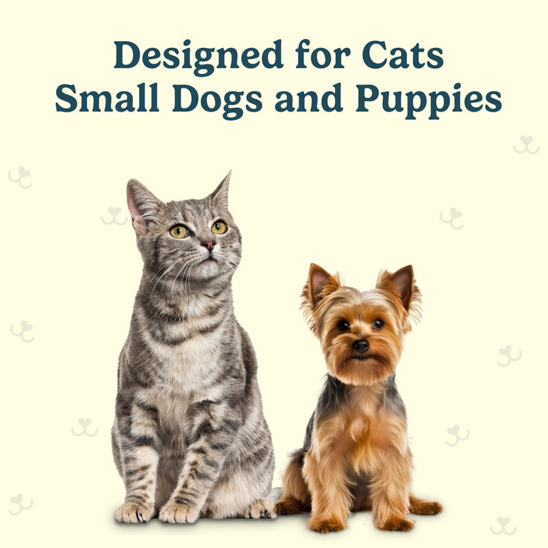 Jasper Microbrush Vet Approved Cat Toothbrush, Soft-Bristled Toothbrush Kit for Felines & Small Dogs, Non-Slip Handle with 2 Replaceable Tooth Brush Heads, Use with Cat Toothpaste, 2-Pack, Rose Pink Rose Pink 2 Pack