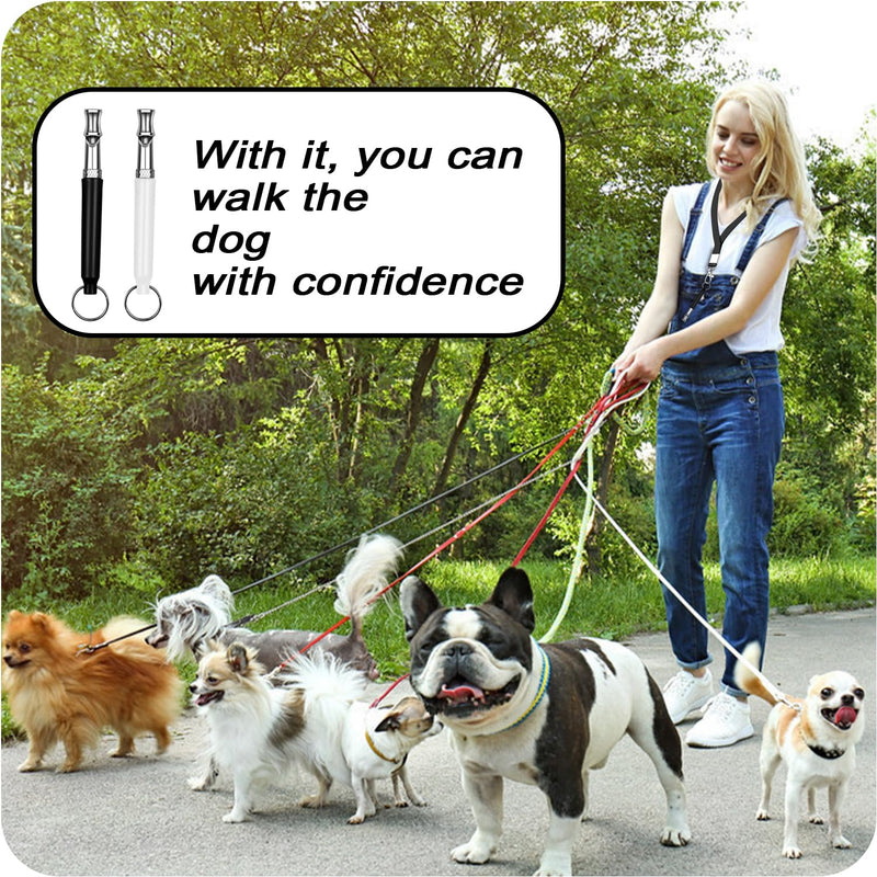 Professional Dog Whistle to Stop Barking - Adjustable Silent Training Whistle for All Breeds (Labrador, German Shepherd, Beagle) with Lanyard - 2 Packs for Recall, Obedience & Anti-Barking Training - PawsPlanet Australia