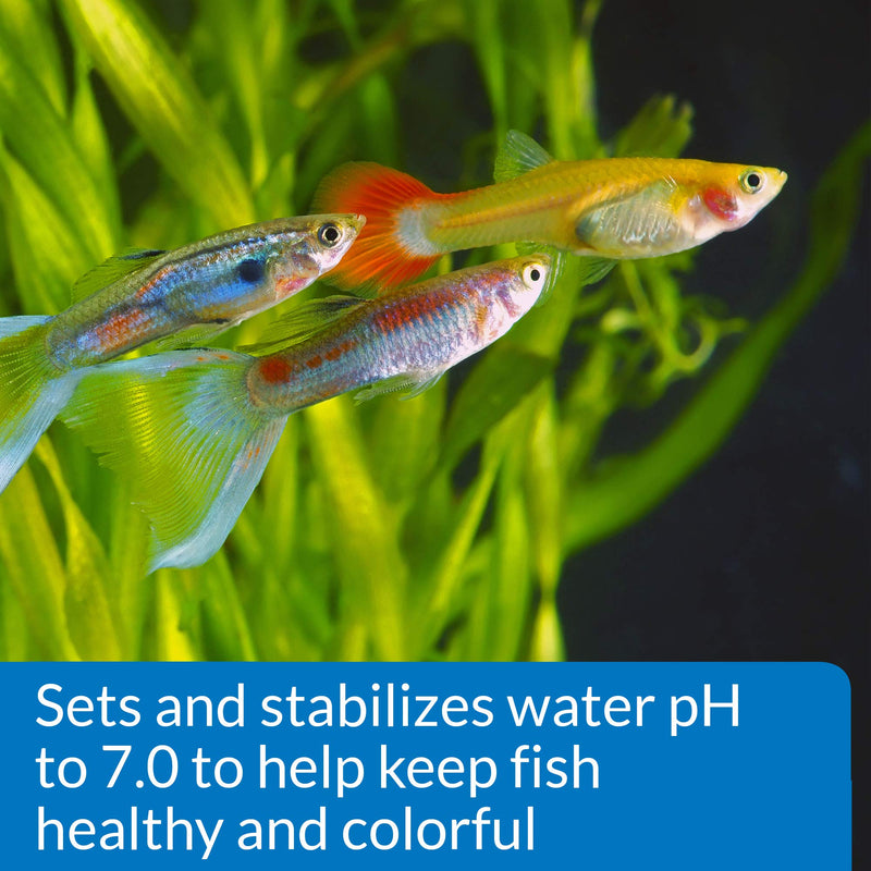 API Proper pH 7.0 Freshwater Aquarium Water pH Stabilizer and API Stress Zyme Aquarium Cleaning Solution Bundle