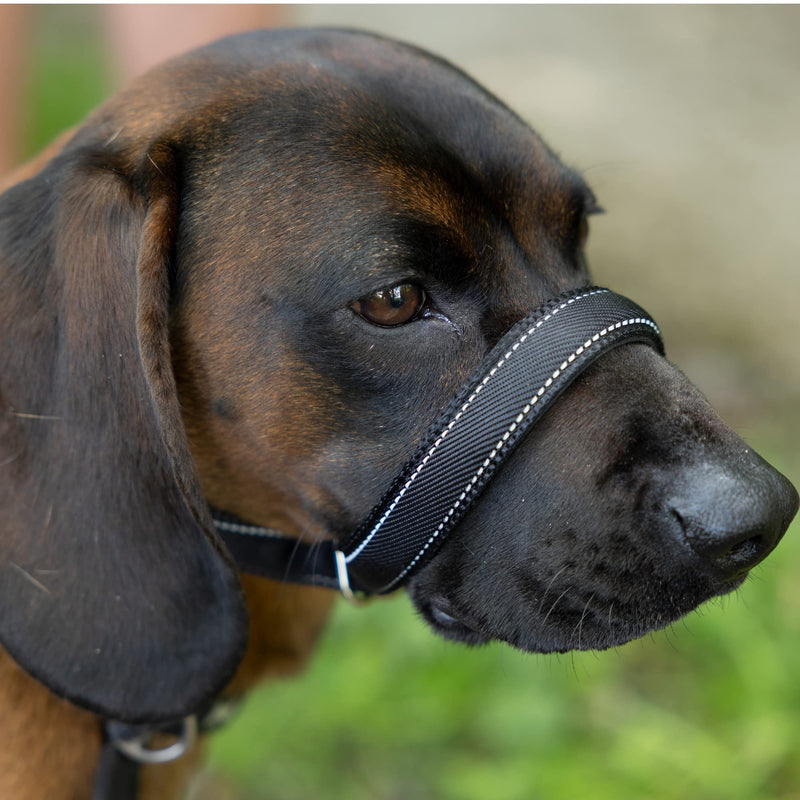 Total Pet Figure of 8 Dog Lead - Flat Anti Pull Stop Dogs Pulling – Slip Leads Reflective with Padded Nose Support (180cm) Black 180cm