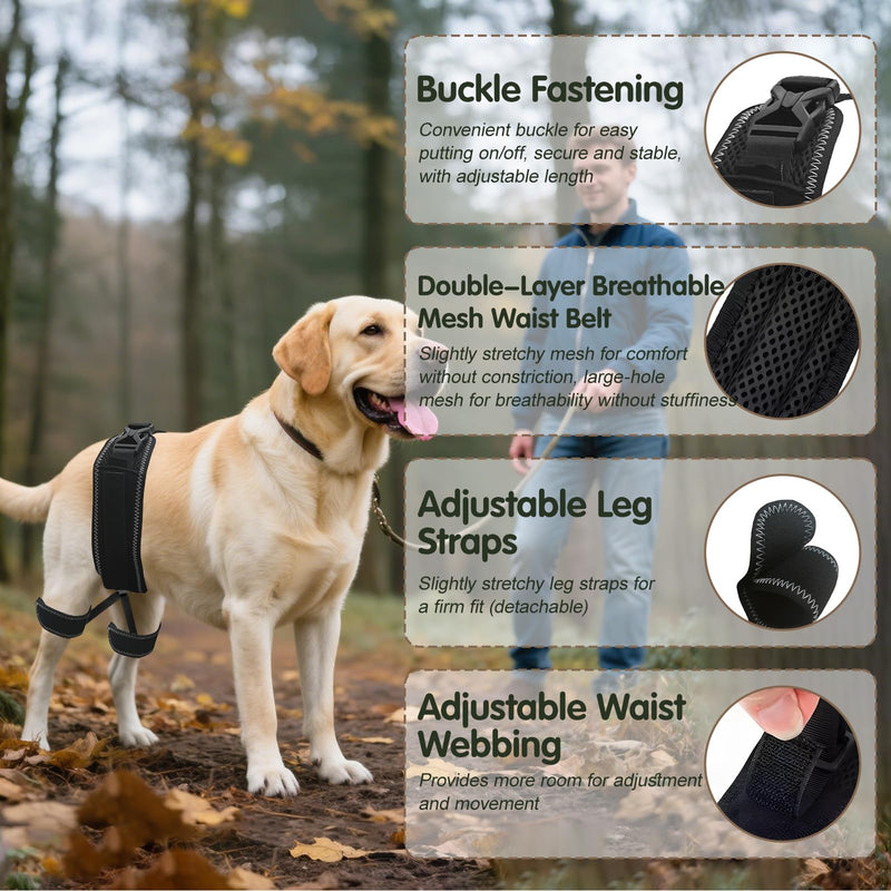 Dog Hip Orthotics Brace, Dog Hip Dysplasia Brace, Support for Hip Dysplasia, Arthritis, Luxating Patella, Back Leg limping, Relieve Hip Pain and Orthodontic Assistance - Large L