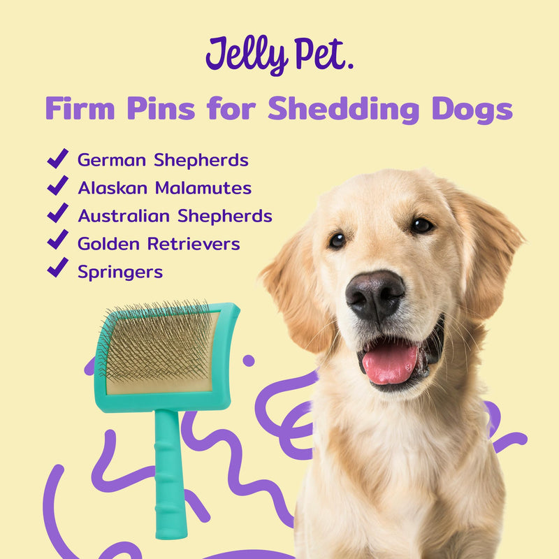 Jelly Pet Universal Slicker Brush for Dogs, Dog Grooming Brush, Remove Tangles and Dead Undercoat, Tuffer Than Tangles, Maltese Shi-Tzu Poodle Bichon, Firm Pins, Teal, Small Small (2.5 in x 4 in) - Pins (Firm) - PawsPlanet Australia