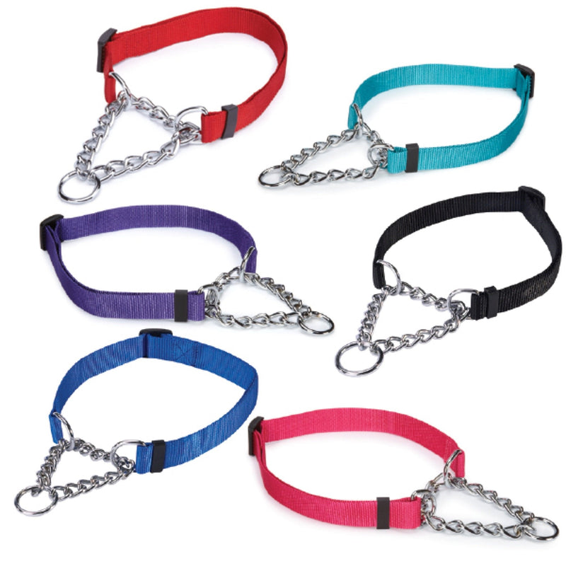 Guardian Gear Choke-Style Adjustable Martingale Dog Collar - PawsPlanet Australia