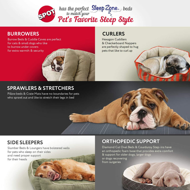 SPOT Sleep Zone Small Pet Bed - High Wall, Reversible Cushion Bed for Indoor Cats & Small Dogs, Durable Faux Suede, Machine Washable for Pets Under 10lbs and 15 inches Long - 18x16in, Sage Green 18x16" - PawsPlanet Australia