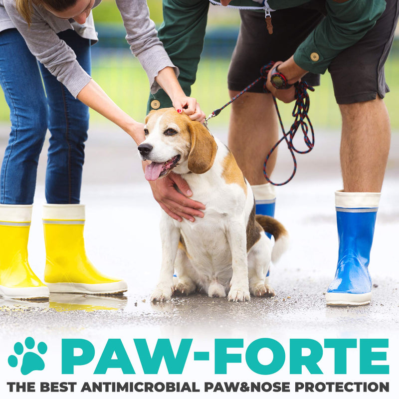 Forticept PAW Balm | Dog Paw Protector from Hot Pavement, Dirt, Salt, Ice and Snow | Soother and Moisturizer for Cracked Dog Paw Pads | Natural Wax Based, Lick Safe 3 oz - PawsPlanet Australia