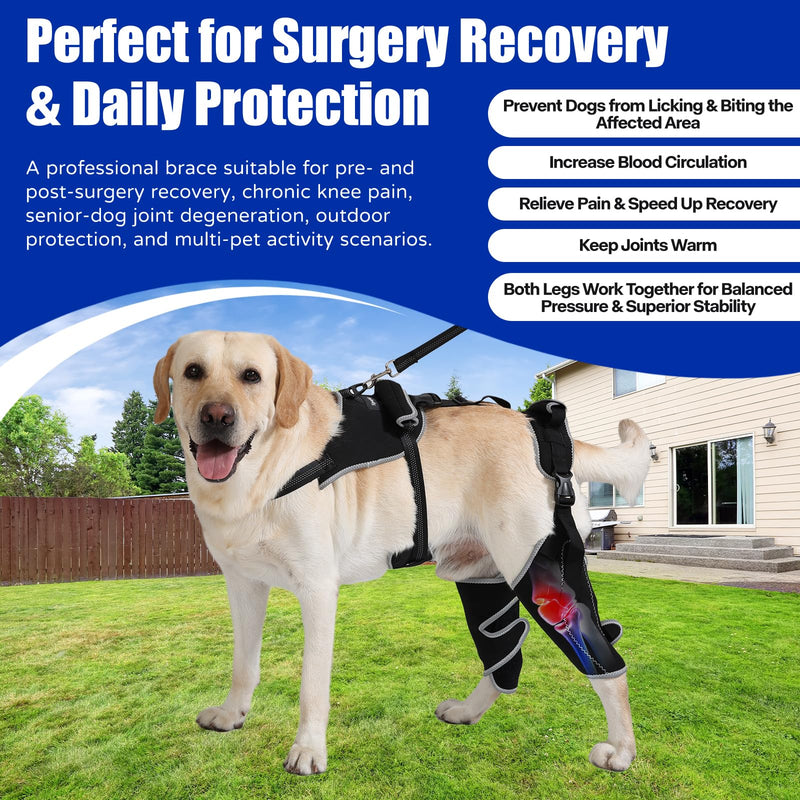 Dog Knee Brace with Adjustable Support Acl Hind Leg for Support with Cruciate Ligament Injury, luxating Patella,Arthritis,Dog Acl Knee Brace with Dog Chest Harness M Black01