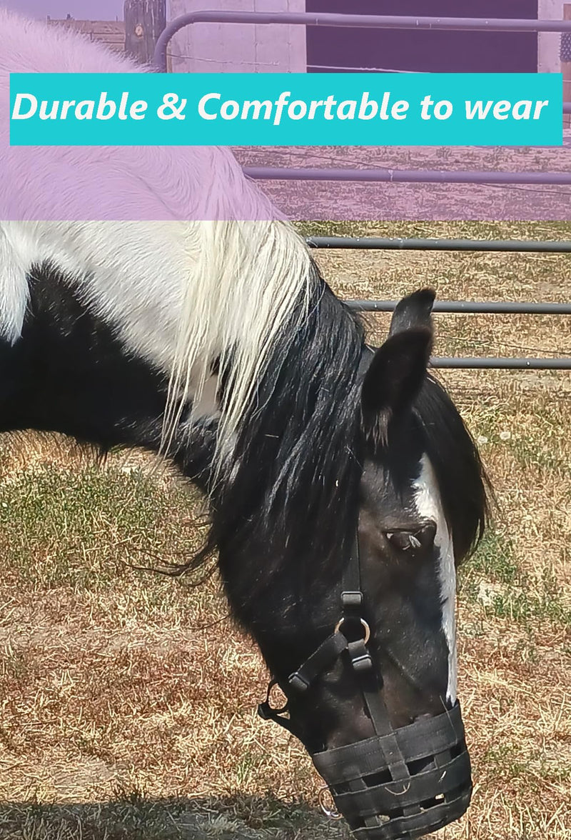 Horse Grazing Muzzle, Comfort Wear Grazing Muzzle for Horses Small BLACK - PawsPlanet Australia
