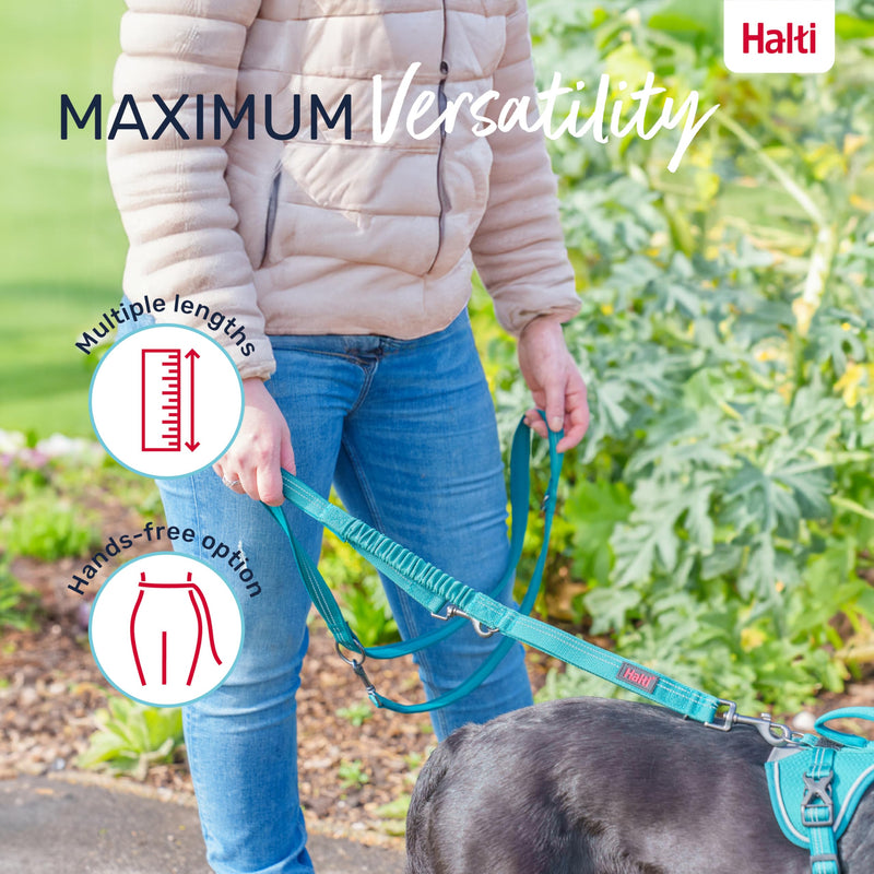 HALTI Anatomy Multifunctional Dog Leash - Shock Absorbing Double-Ended Leash, Ideal for Dog Walking & Training. Comfortable to Hold, Reflective & Lightweight. Suitable for Puppies (Size Large, Green) L - PawsPlanet Australia