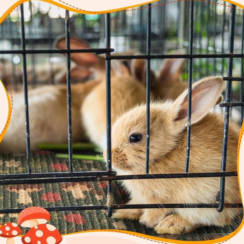2 Pcs 16 x 12''Rabbit Scratch Mat Natural Bunny Scratching Pad Claws and Teeth Care Rabbit Mats for Cages Chew Toys Bunny Pet Cage Bedding for Biting Sleeping Nesting - PawsPlanet Australia