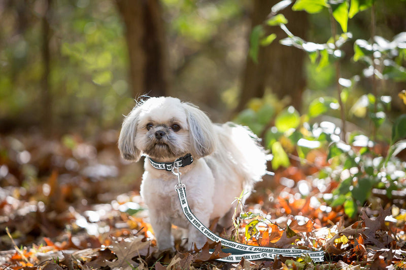 Pets First Collegiate Pet Accessories, Dog Leash, Michigan State Spartans, Small - PawsPlanet Australia