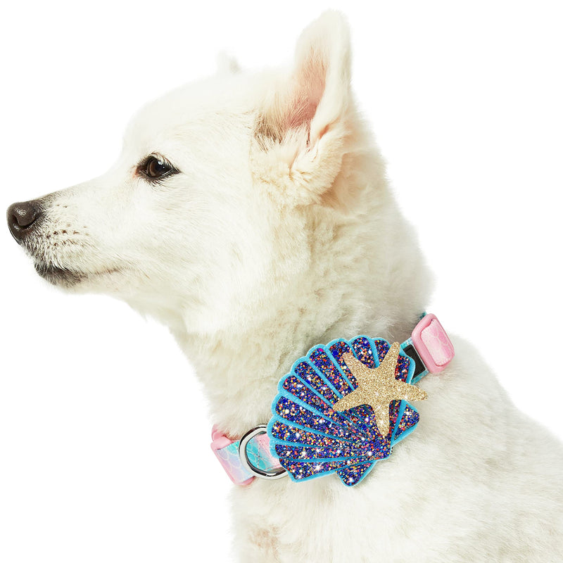 Blueberry Pet Summer Sparkle Dog Collar, Adjustable Small Size, Neck 12"-16", Pink and Blue, Ocean Mermaid Scales Print Nautical Pet Collar with Detachable Seashells Accessory - PawsPlanet Australia