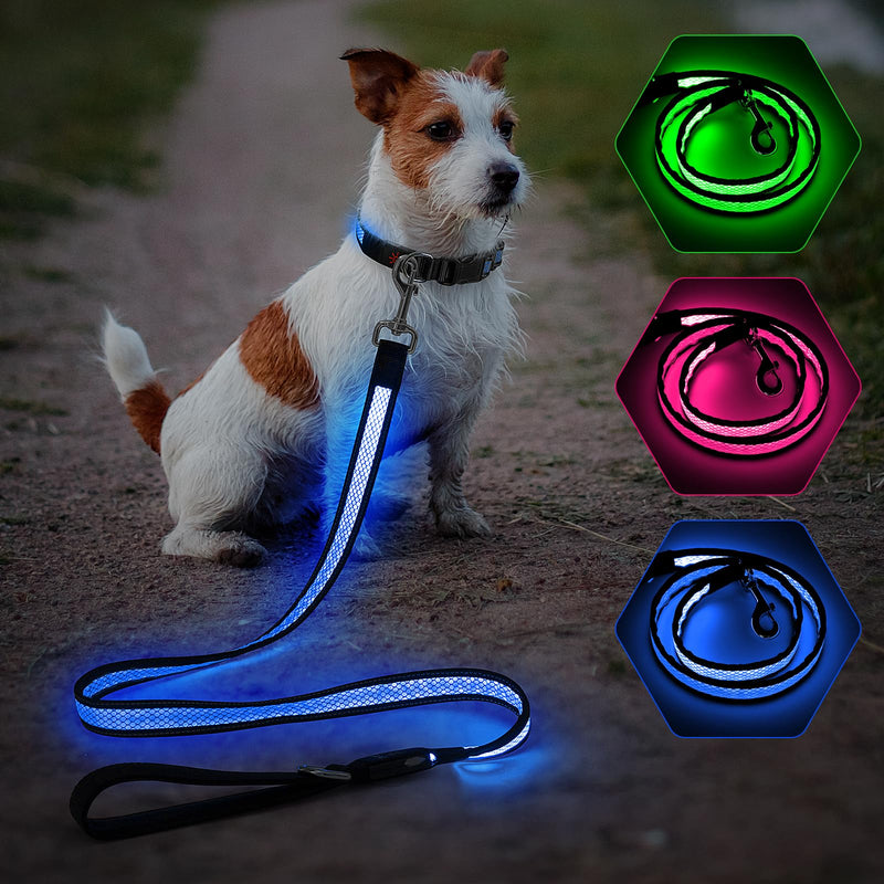 Candofly 4 Ft LED Dog Leash, USB Rechargeable Light Up Dog Leash, 3 Lighting Modes, Glow in The Dark, Nylon Reflective Pet Leashes with Lights for Night Walking (Blue) Blue - PawsPlanet Australia
