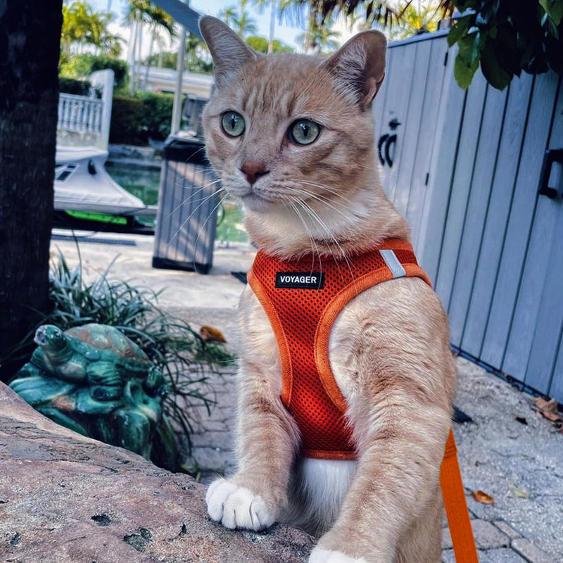 Voyager Step-in Pet Harness - All Weather Mesh, Adjustable Step in Harness for Cats and Dogs by Best Pet Supplies - 307S Orange, M 307 Set Orange M (Chest 15 - 17")