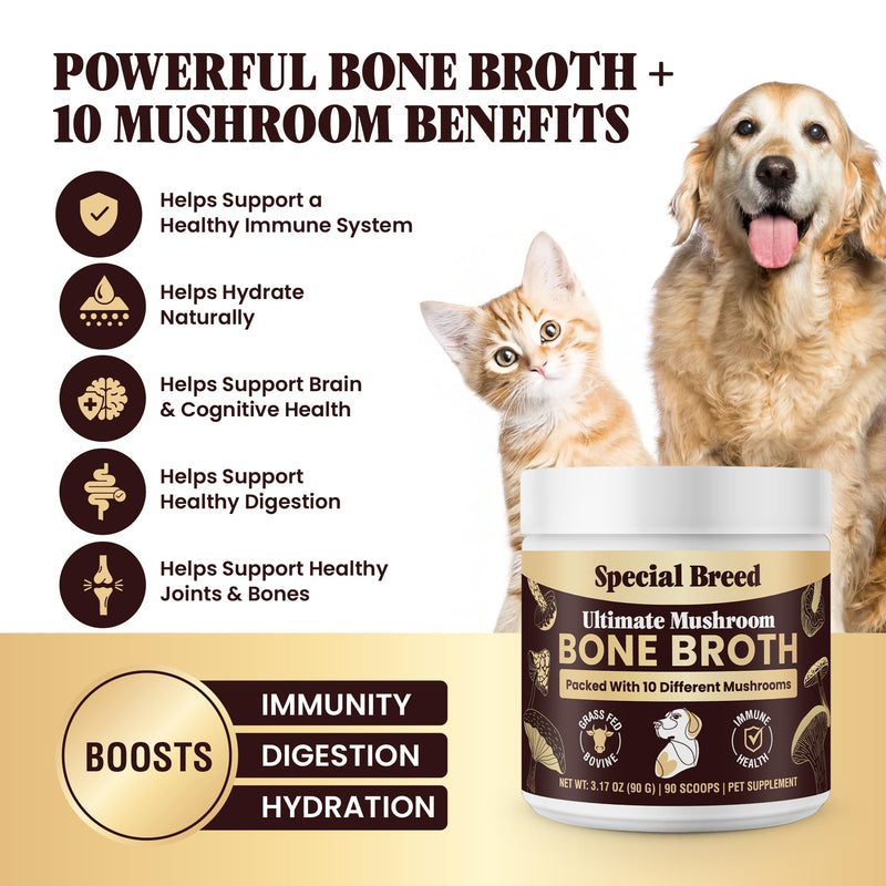 Beef Bone Broth for Dogs - High Protein Powder with Ten Organic Mushrooms & Collagen - Immune, Joint, Digestion & Cognitive Support - Tasty Dog Food Topper - Natural Hydration Booster 3.17oz