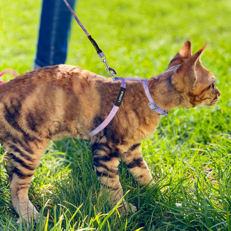 Giantree Cat Harness with Leash and Collar Set, Adjustable H-Shaped Kitten Harness Escape Proof Harness Glow in The Dark for Kitty Outdoor Walking (Gradient Purple) Gradient Purple - PawsPlanet Australia