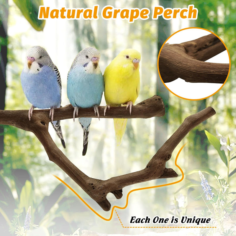 kathson 5pcs Natural Parrot Perch for Cage Wooden Bird Perches Grape Bird Stick Parakeet Climbing Standing Branches Toy Chewable Cage Accessories for Small Budgies Cockatiels Lovebirds Budgies 5 PCS