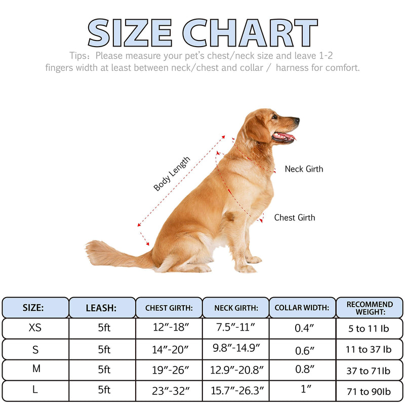 QQPETS Dog Harness Collar Leash - No Pull Pet Adjustable Back Clip Halter Basic Collar Heavy Duty 5FT Anti-Twist Leash for Extra Small Puppy Medium Large Breed Training Easy Walk Running Daisy S - PawsPlanet Australia
