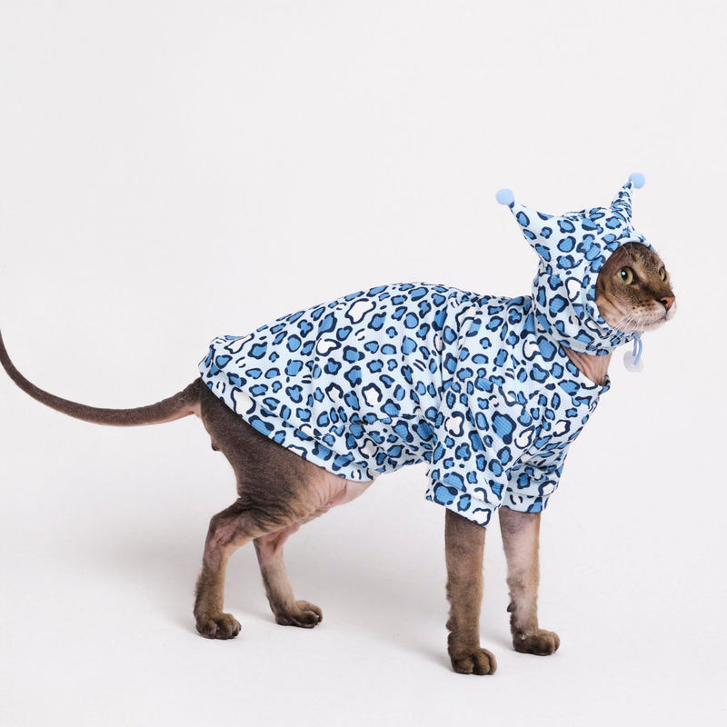 Sphynx Cat Clothes, Cat Suit with Hat and Sweatshirt, Full Set for Hairless Cats, Cornish Rex and Devon Rex (Blue Suit, S(2-3.5lbs)) Blue Suit S(2-3.5lbs) - PawsPlanet Australia
