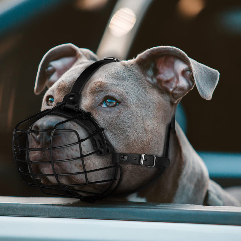 Pitbull Dog Muzzle Metal Mask Amstaff Secure Wire Basket Adjustable Durable Leather Straps for Large Dogs (Black) Black - PawsPlanet Australia