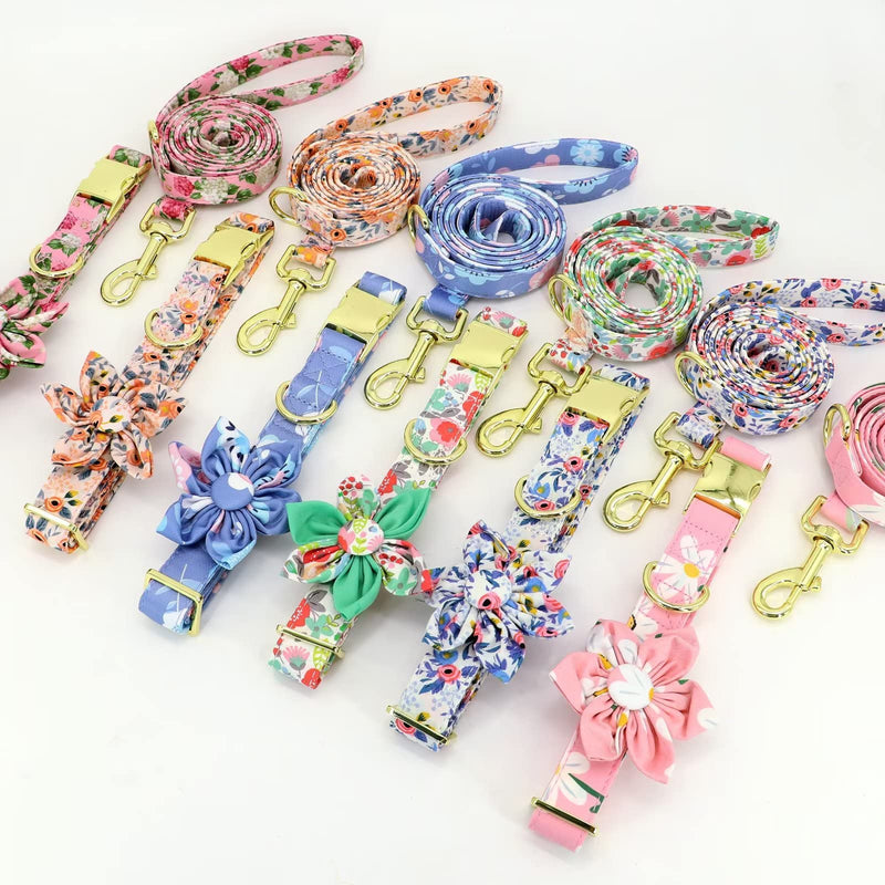 Beirui Cute Girl Dog Collar and Leash Set for Female Dogs- Floral Dog Collar with Flower for Small Medium Large Dogs Puppy, XS:Neck 8-12", Leash 5FT, Orange-1 XS:Neck for 8.0-13.0", leash 5FT - PawsPlanet Australia