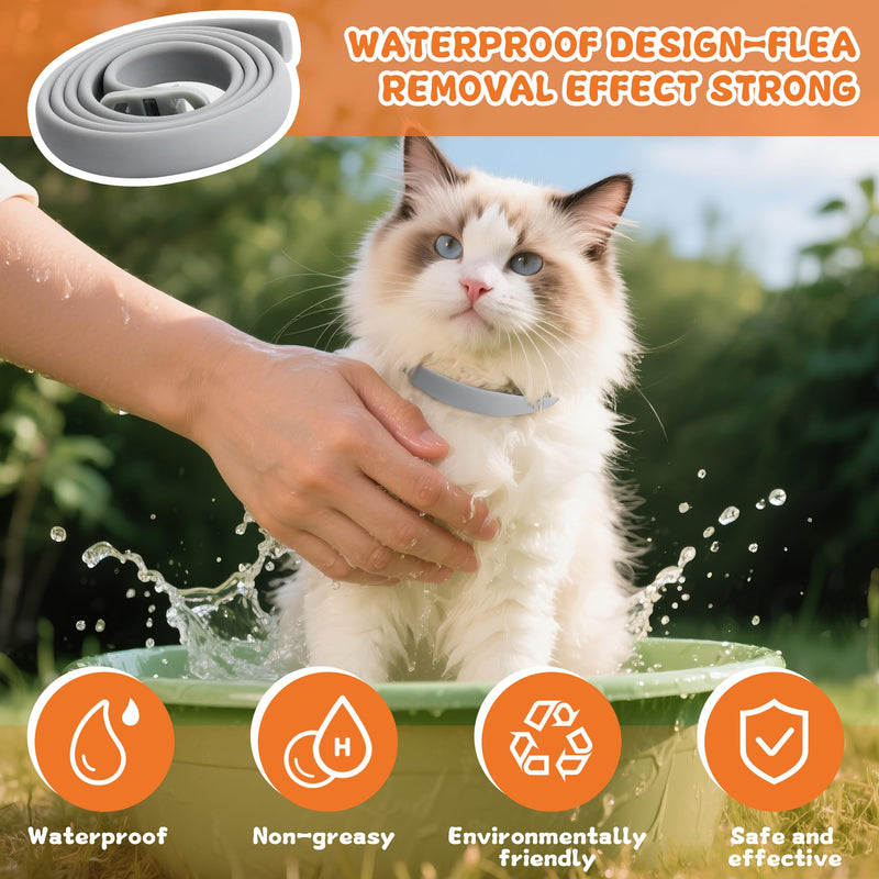 4 Pack Flea and Tick Collar for Cats - 20" Adjustable Collar Fits Cat, Long-Lasting 24-Month Protection for Small, Medium, and Large Cat - Waterproof Flea Tick Prevention - PawsPlanet Australia