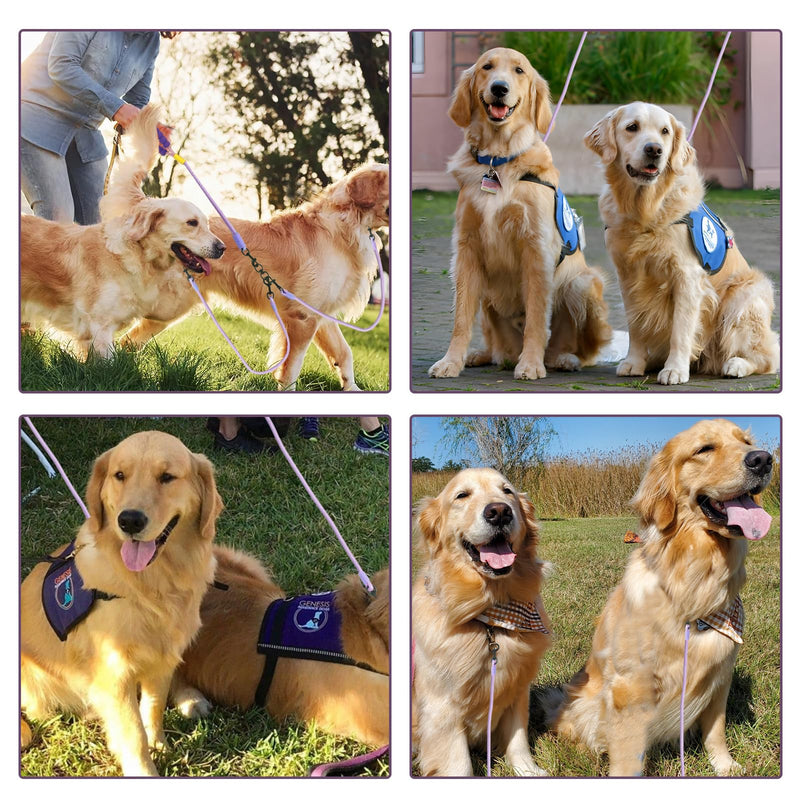 Double Dog Leash No Tangle, Adjustable Split Leads Dual Pet Walking Leash with Comfortable Padded Handle for Two Dogs, Hands - Free Dual Leashes for Small/Medium Pets (Purple, Double Leashes) Purple